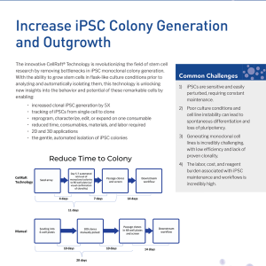 Stem Cell Flyer cover