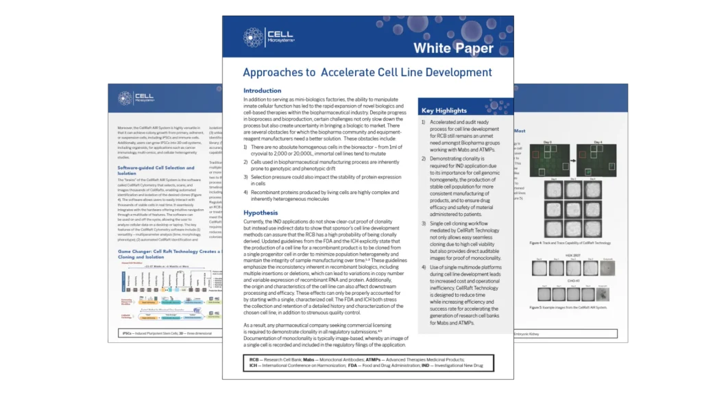 WP Accel Line Dev 1