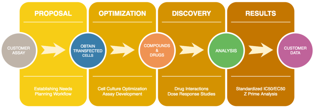 DrugDIscovery
