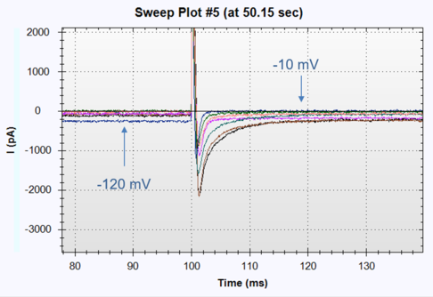 Nav1.7Single 1
