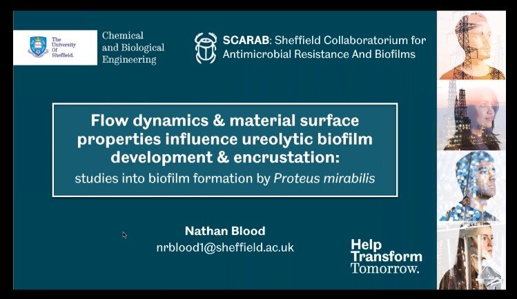 Modeling catheter-blocking biofilms using the BioFlux system - Cell ...