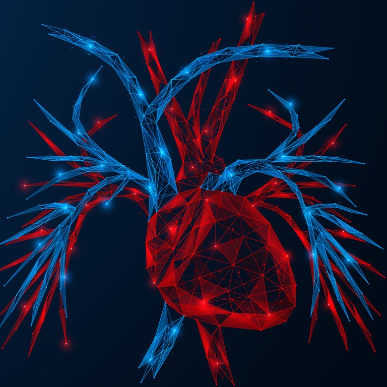 cardiovascular istockphoto 1360578689 cropped