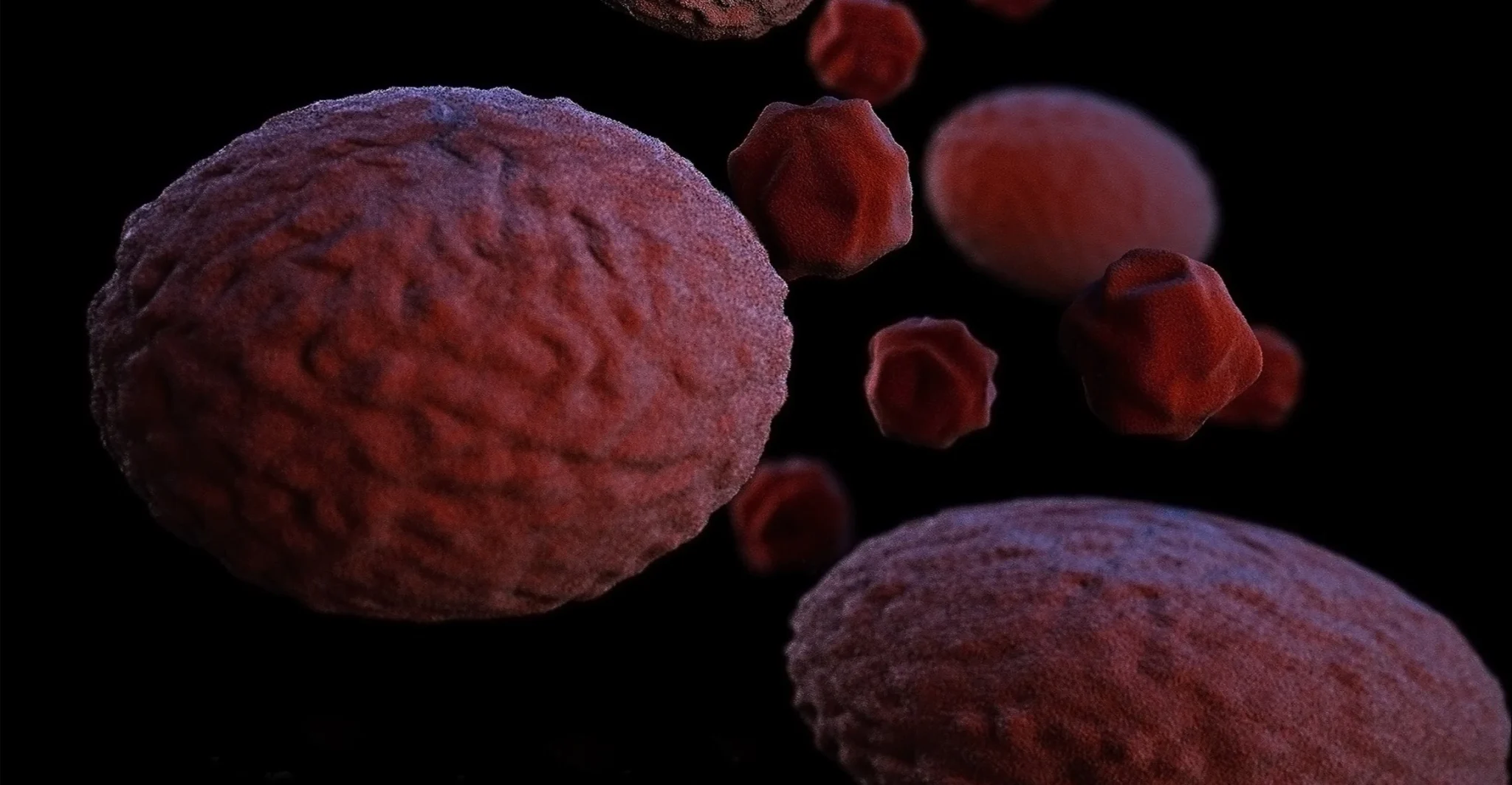 cdc 5jMoC6TInq4 unsplash