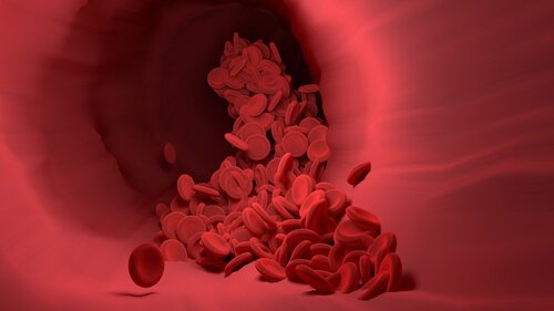 red blood cell 4256710 1280