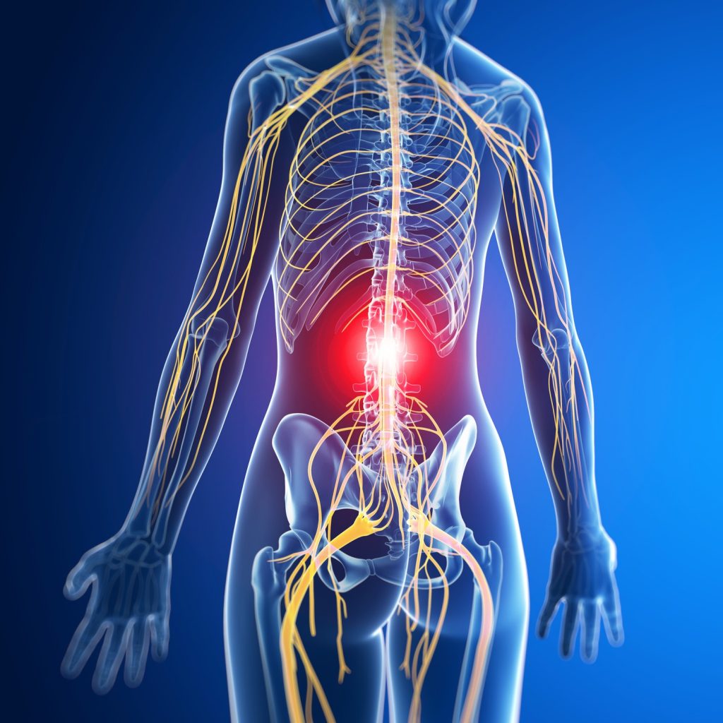 spinal pain cropped