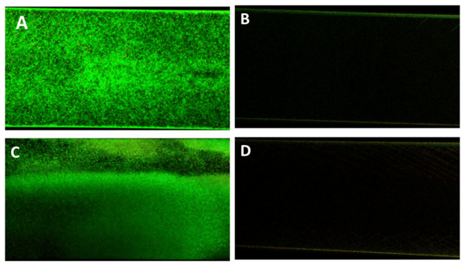 biofilm stirpe et al