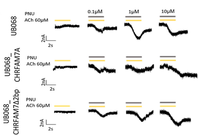Monocyte Ca signaling IonFlux Szigeti 2024