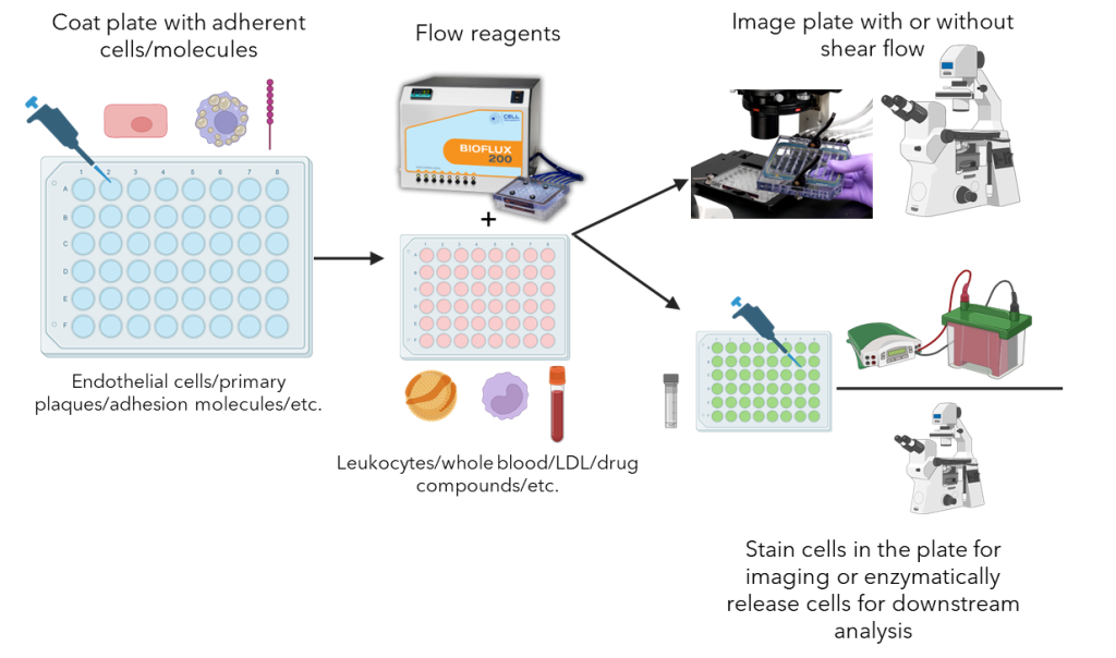 Atherosclerosis BioFlux workflow