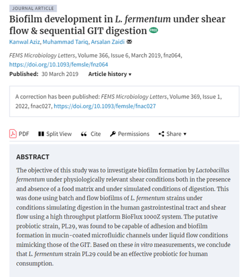 Biofilm development in L. fermentum under shear flow & sequential GIT digestion