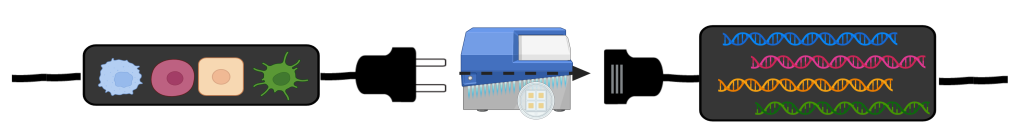 CellRaft AIR connecting cells to DNA editing