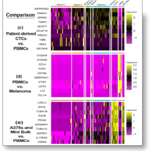 heatmaps for gene comparison CellRaft