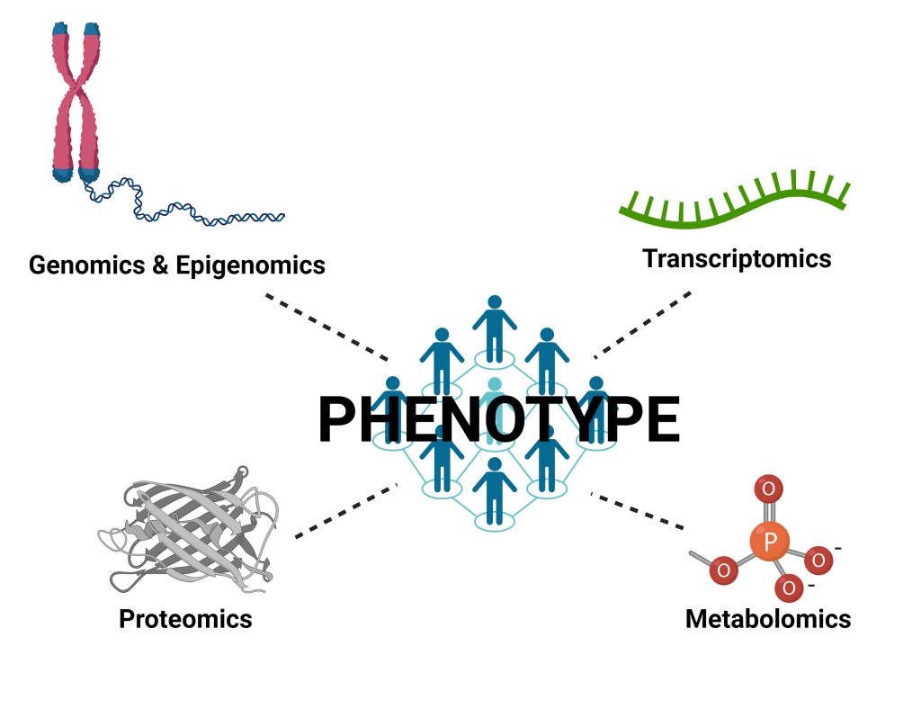 phenotype connection image white background