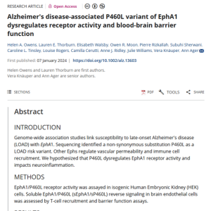 Alzheimers disease associated P460L variant of EphA1 dysregulates receptor activity and blood brain barrier function thumbnail