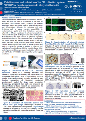 Establishment and validation of the 3D cultivation system thumbnail