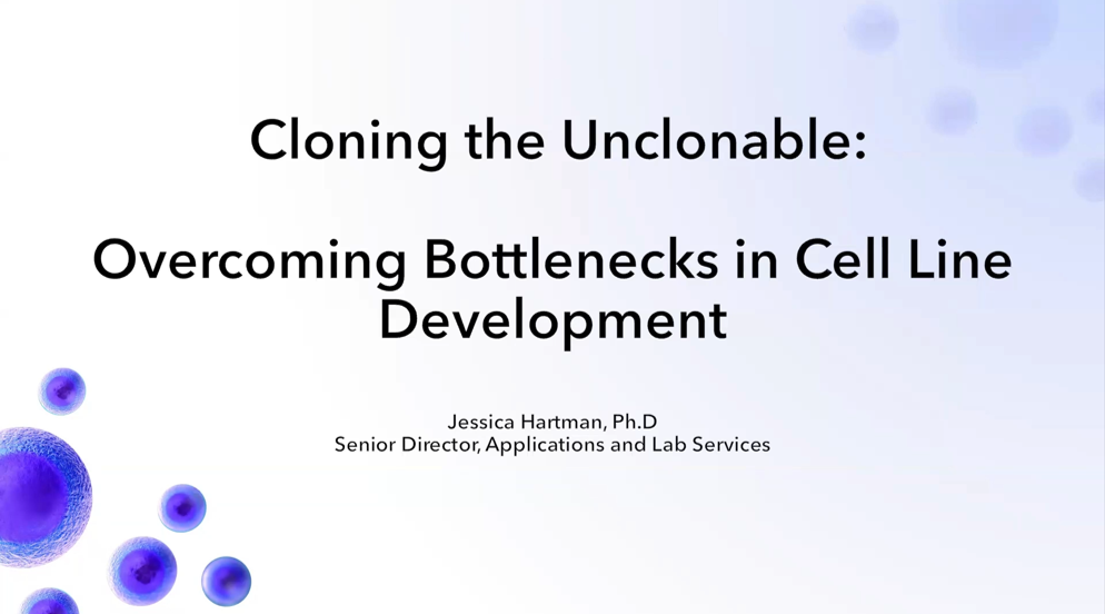 Webinar screen shot
