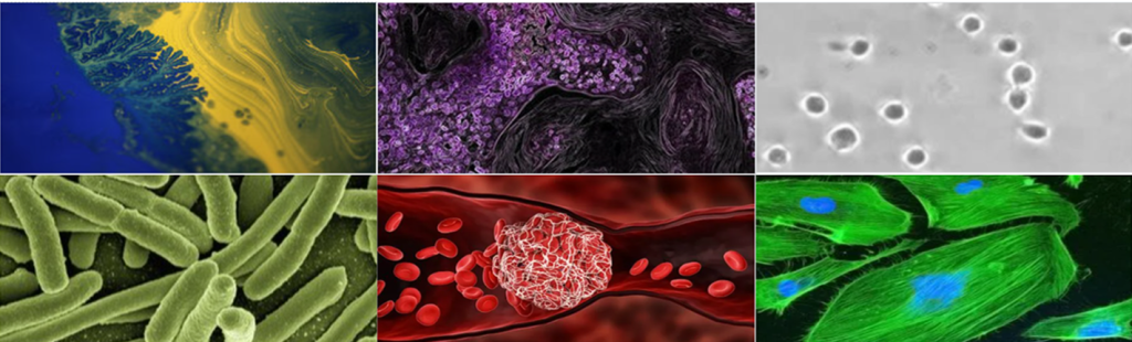 BioFlux cell images