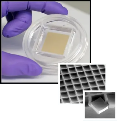 Forward Screening for Antibody Discovery