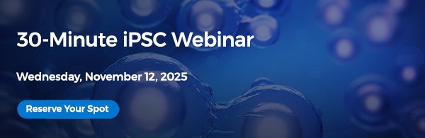 email banner iPSC Efficiency 20251028