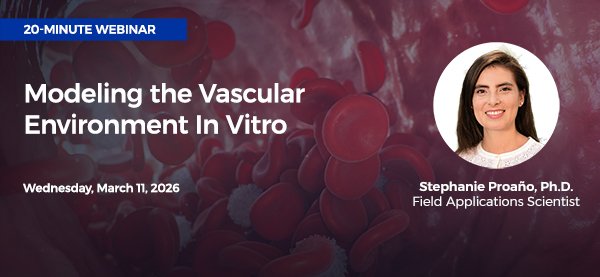 Thumbnail Modeling the Vascular Environment In Vitro