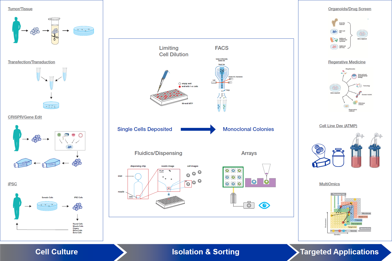 whitepaper monoclonal figure1