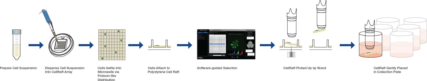 whitepaper monoclonal figure3