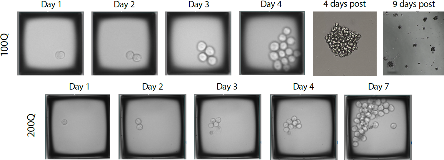 whitepaper monoclonal figure5