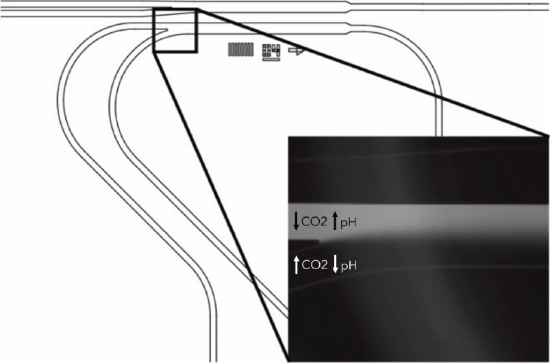 whitepaper bioflux figure10