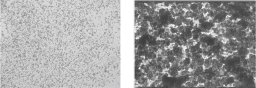 whitepaper bioflux figure2