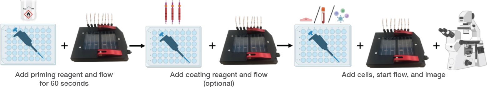 whitepaper bioflux figure4