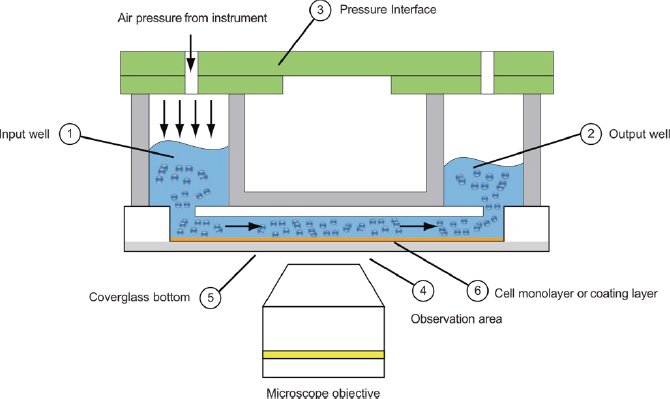 whitepaper bioflux figure8