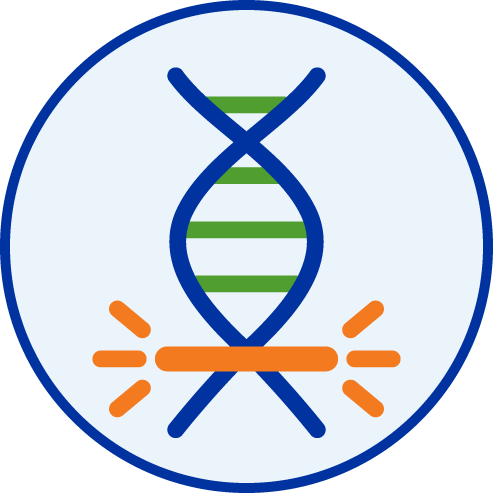 icon gene edited clone generation