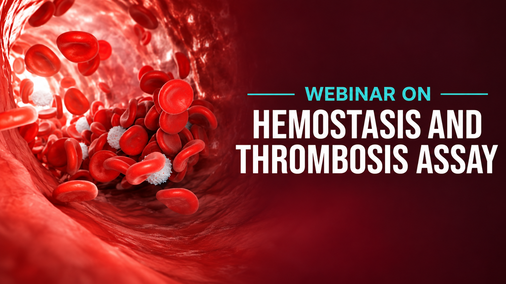webinar 20260916